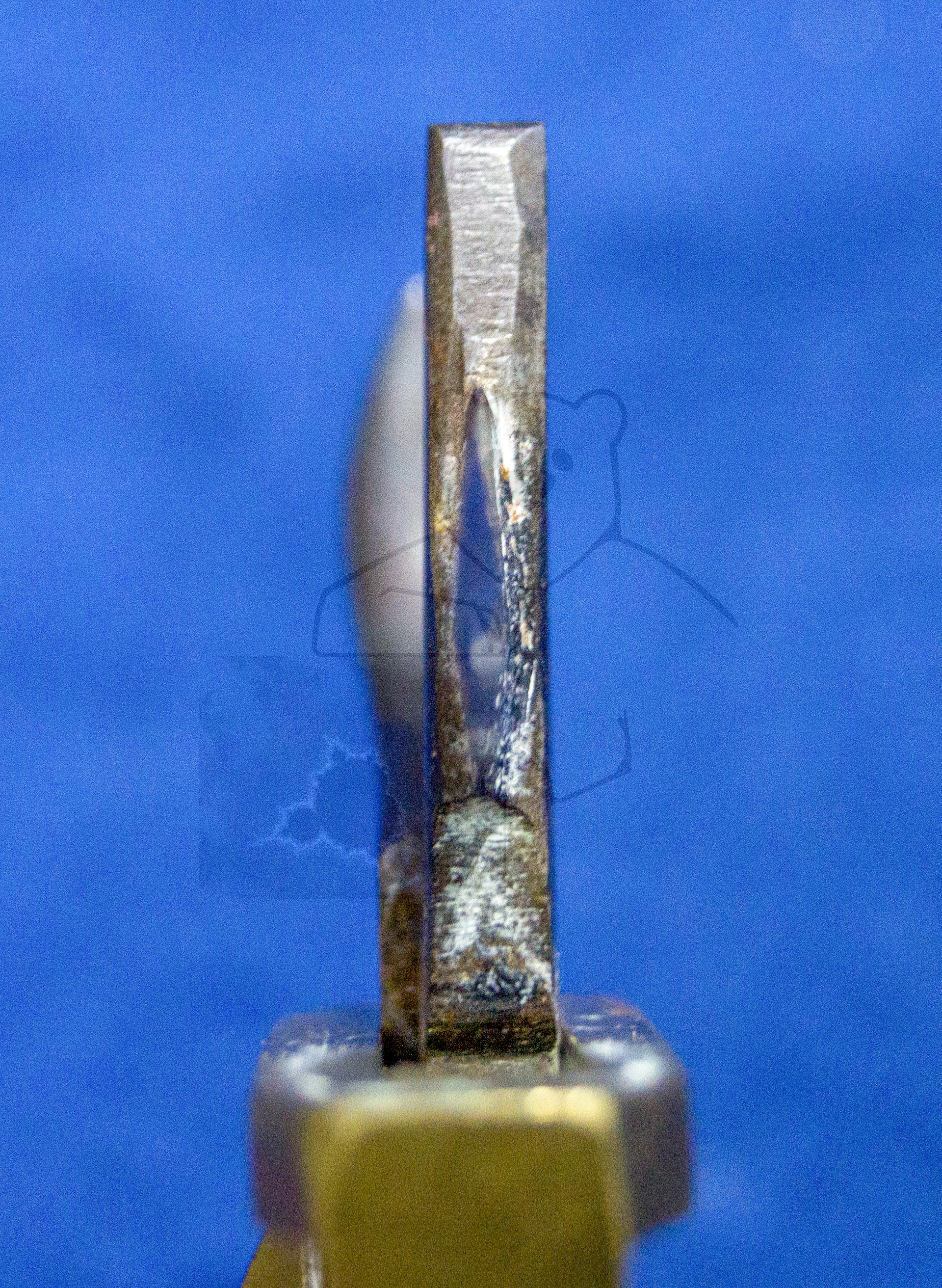 Aderlass Schnepper, ca.1850, Klinge im Detail, seitlich